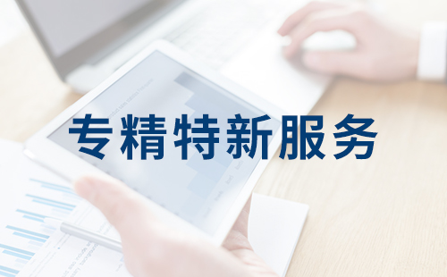 大连专精特新服务 大连专精特新服务